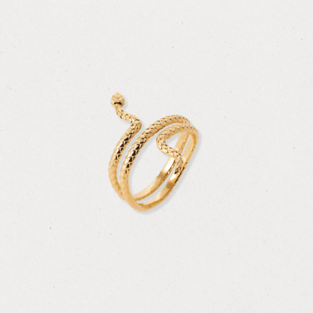 Bague Double Reptile