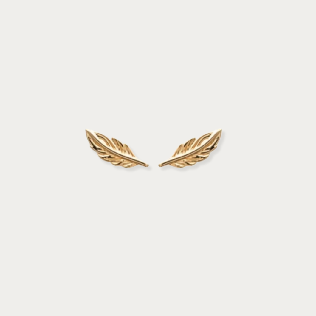Boucle Plume